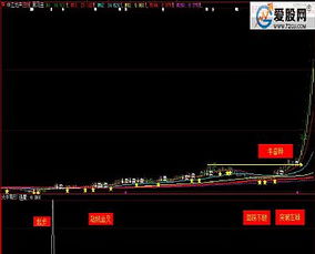 大牛有形 通達信 大智慧副圖 選股指標(biāo) 貼圖 加密